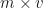 \begin{equation*}m \times v \end{equation*}